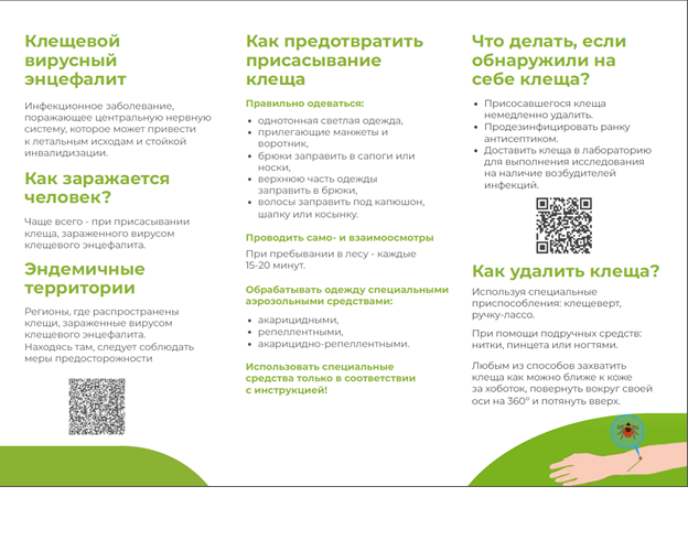 Анонс «горячей линии» по профилактике клещевого энцефалита.